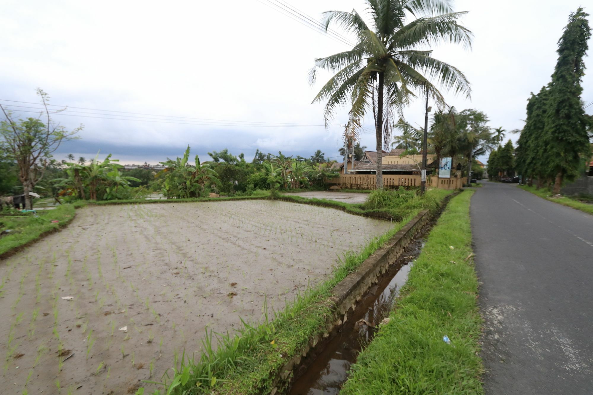 Pondok Permata Homestay Ubud Buitenkant foto